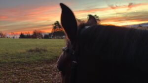 Reiten im Sonnenuntergang